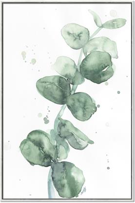 Picture of Sage Eucalyptus I