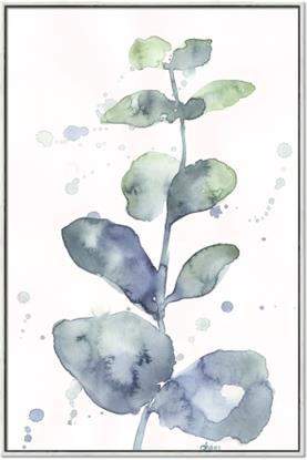 Picture of Sage  Eucalyptus II