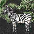 Picture of Zebra In The Jungle _GroupedProduct_Square_Unframed_Print_Only_