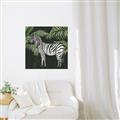 Picture of Zebra In The Jungle _GroupedProduct_Square_Canvas_