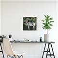 Picture of Zebra In The Jungle _GroupedProduct_Square_Canvas_Framed_