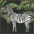 Picture of Zebra In The Jungle _GroupedProduct_Square_Canvas_Framed_