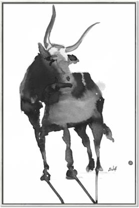 Picture of Black Cariboo