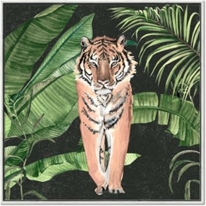 Picture of Tiger in the Jungle