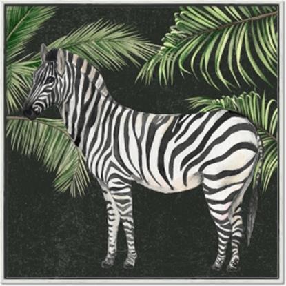 Picture of Zebra In The Jungle