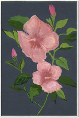 Picture of Pink Tropical Flower