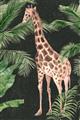 Picture of Giraffe In The Jungle _GroupedProduct_Rectangle_Portrait_Unframed_Print_Only_