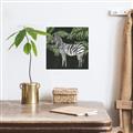 Picture of Zebra In The Jungle _GroupedProduct_Square_Unframed_Print_Only_