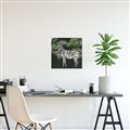 Picture of Zebra In The Jungle _GroupedProduct_Square_Unframed_Print_Only_
