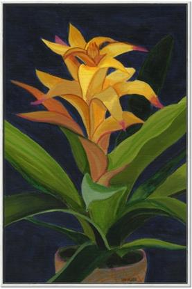 Picture of Indoor Plant