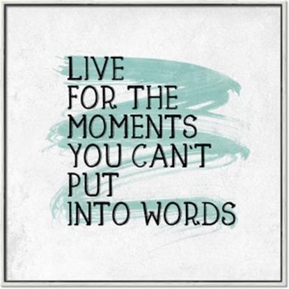 Picture of Live The Moment