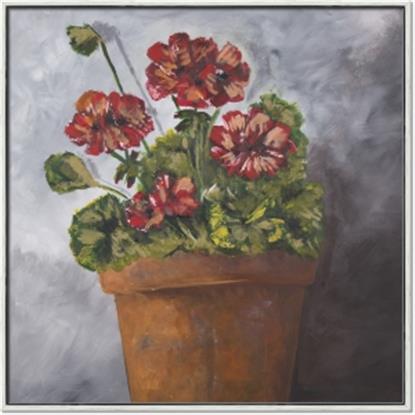 Picture of Clay Potted Plants