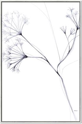 Picture of Flowering Tree Twigs II