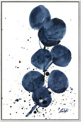 Picture of Blue Eucalyptus