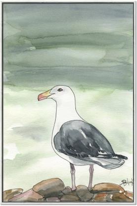 Picture of Sea Gull