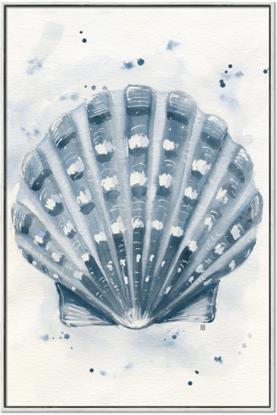 Picture of Blue Seashell