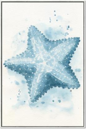 Picture of Teal Starfish