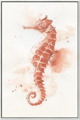 Picture of Coral Seahorse