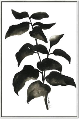 Picture of Black Leaves II