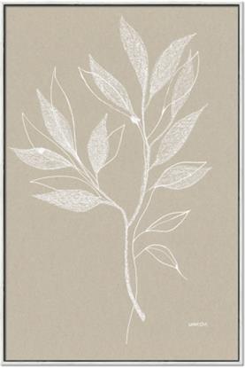 Picture of Neutral Plant VIII