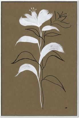 Picture of Neutral Plant  IV