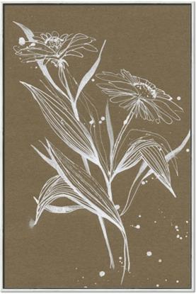 Picture of Neutral Plant  III