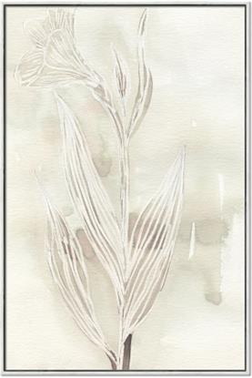 Picture of Transparent Tulip I
