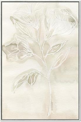 Picture of Transparent Tulip II