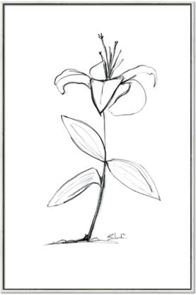 Picture of Single Flower VIII