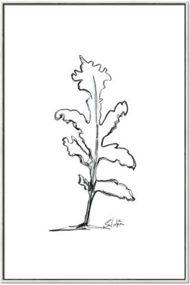 Picture of Single Flower V