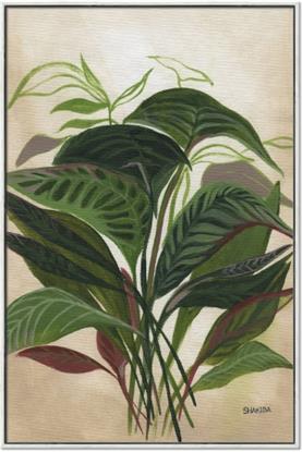 Picture of Tropical Greens