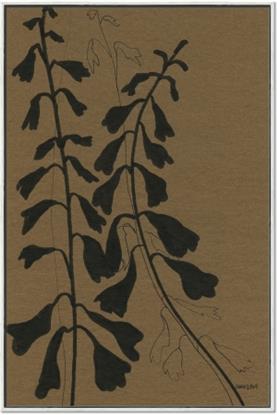 Picture of Silhouette Bell Flowers