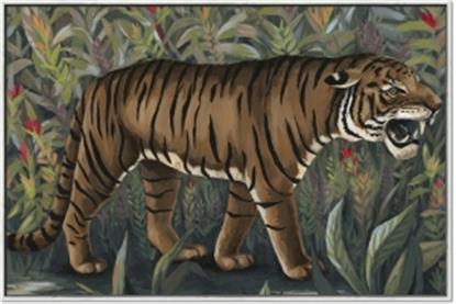 Picture of Baby Tiger