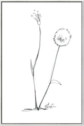 Picture of Standing Tall