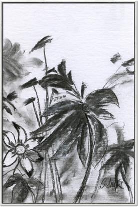 Picture of Black Daisy II