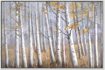 Picture of Birch Tree (yellow leaf)