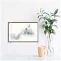 Picture of Cute cat _GroupedProduct_Rectangle_Landscape_Canvas_Framed_
