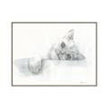 Picture of Cute cat _GroupedProduct_Rectangle_Landscape_Canvas_Framed_