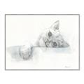 Picture of Cute cat _GroupedProduct_Rectangle_Landscape_Canvas_Framed_