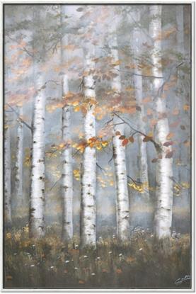 Picture of White Birches In Fall