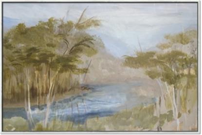 Picture of Clear Swamp