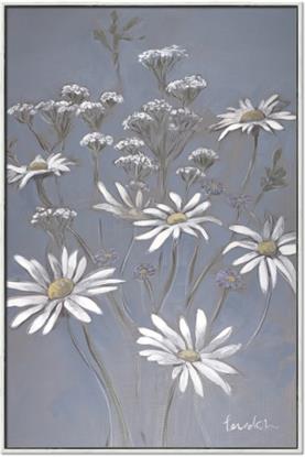 Picture of Daisy Flower