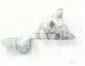 Picture of Cute cat _GroupedProduct_Rectangle_Landscape_Unframed_Print_Only_
