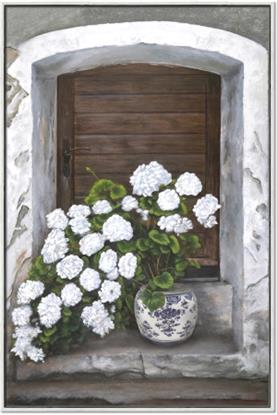 Picture of Window bloom