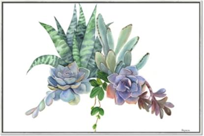 Picture of Succulent Group