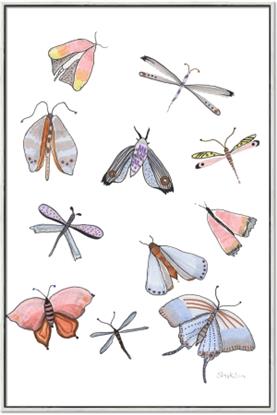 Picture of All around buggy II