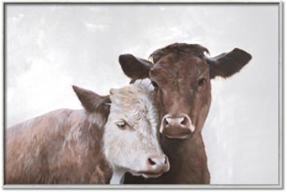 Picture of Cow buddies