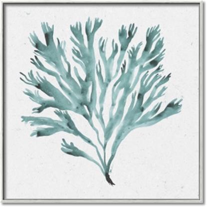 Picture of Teal Coral II