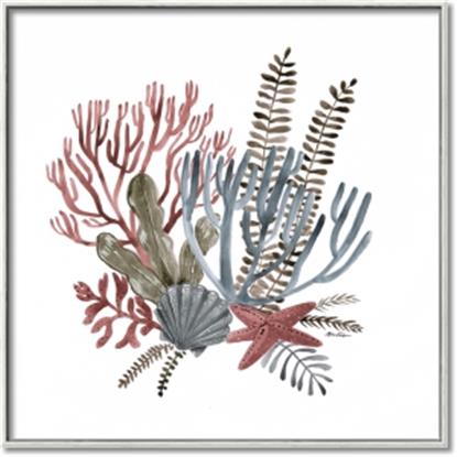 Picture of Ocean Coral l