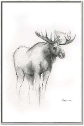 Picture of Moose Charcoal